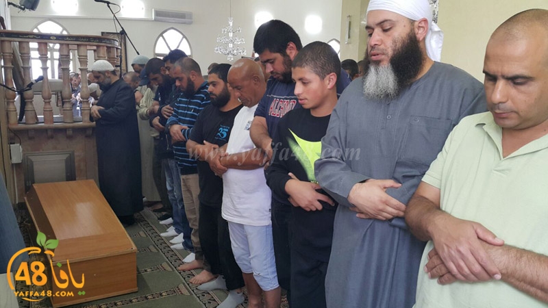 tasheye3 dakkej (11).JPG